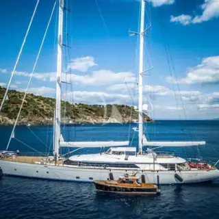 Summer 2020 with Panthera
