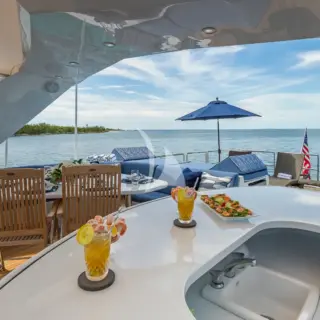Flybridge Bar Facing Aft