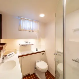 VIP Double Cabin Bathroom