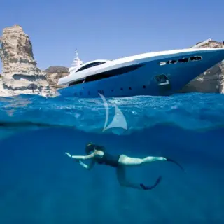 SEA WOLF - Image 14