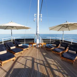 Sun loungers