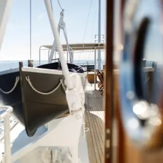 Dionea elegant Lombardini tenders