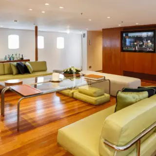 Main salon TV and Bar