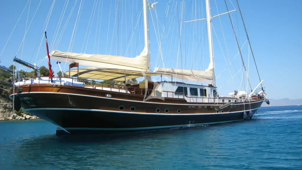 KAYA GUNERI V - Main Look