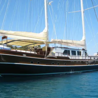 Main Look