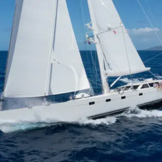 CAVALLO - Image 13