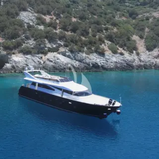 ZOI - Image 1