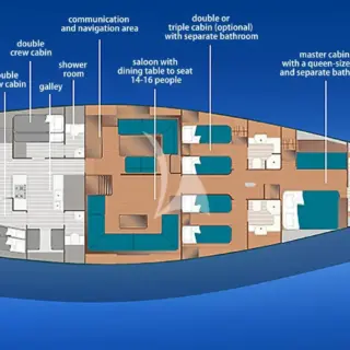 WALLY ONE - Layout