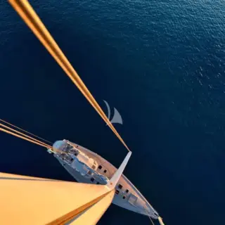 TESS - Image 3