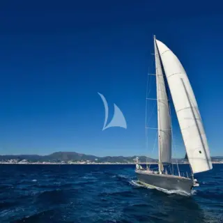 TESS - Image 2
