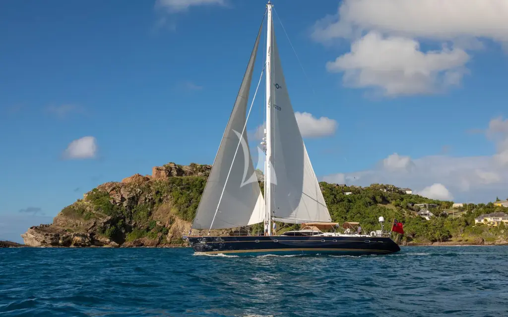 Dama de Noche - Image 4