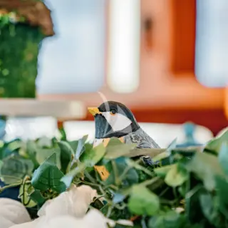 BEACHFRONT - Image 20