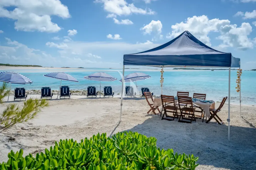 ZOOM ZOOM ZOOM - Beach Set Up 