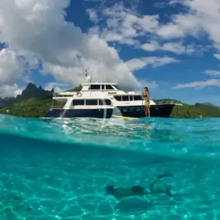 Paddle boarding and snorkelling