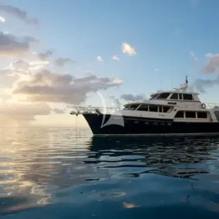 Profile at sunset