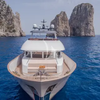 Forward view