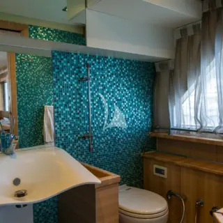 Daily toilet