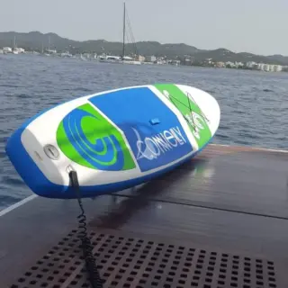 Paddle board