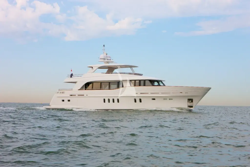 Firefly - Side Profile