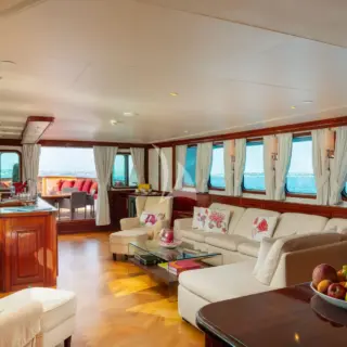 SEA LION - Image 21