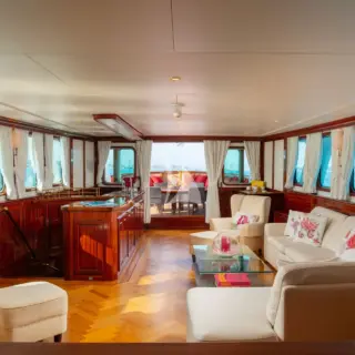 SEA LION - Image 22