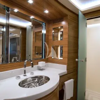 ALEMIA master head and shower
