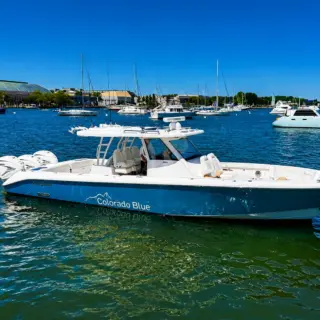 ASPEN ALTERNATIVE - Tender 