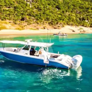 ASPEN ALTERNATIVE - Tender