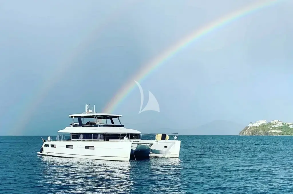 CUTE LITTLE CAT - Image 3