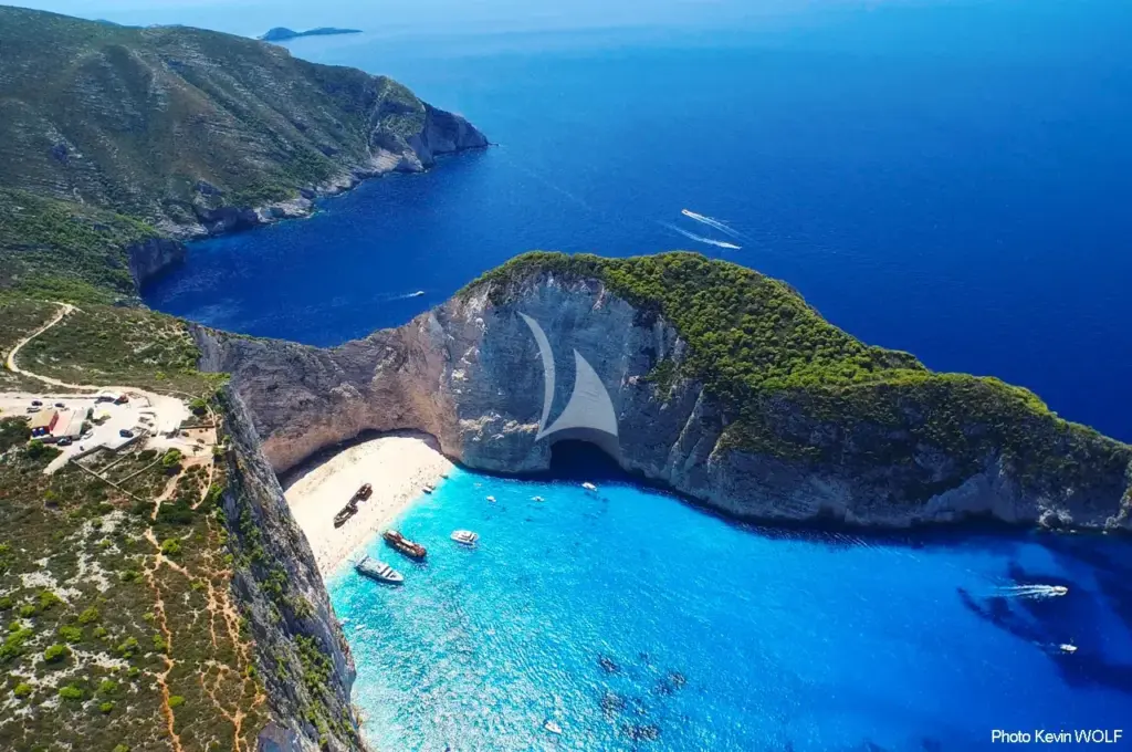 CUTE LITTLE CAT - Image 5