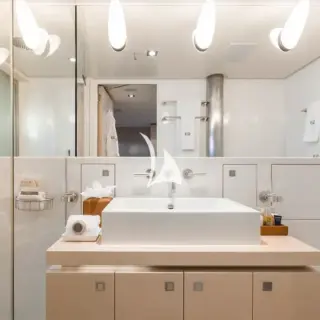 Double cabin shower room en suite