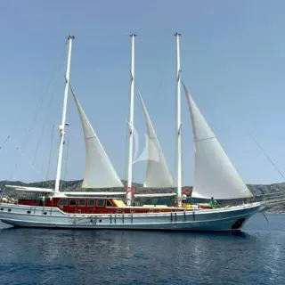 Dolce Vita new white hull