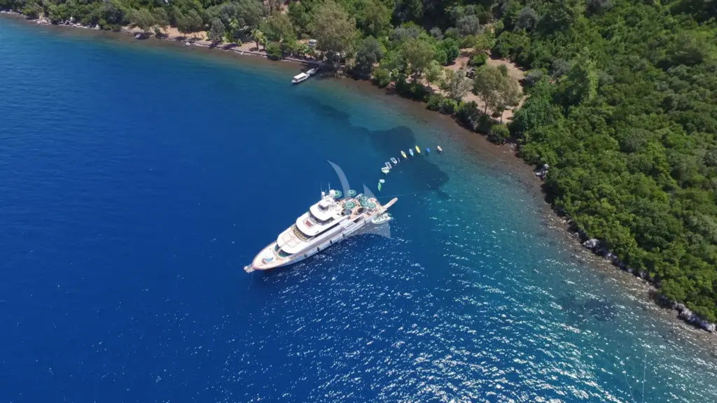 Forty Love - Image 5