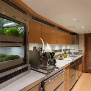 Fresh herb garden in the galley