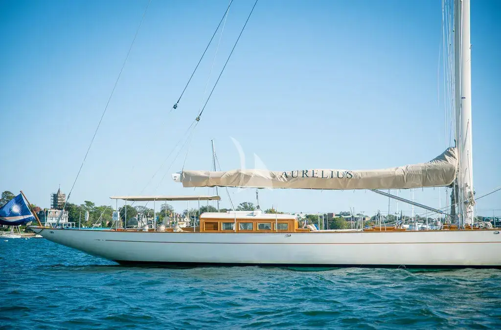 Aurelius 111 - Image 5