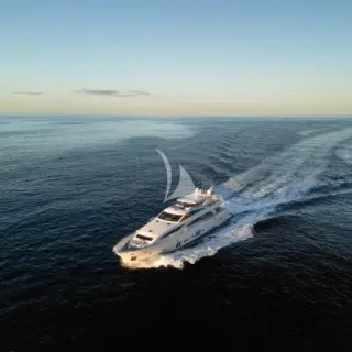 ARION - Image 2