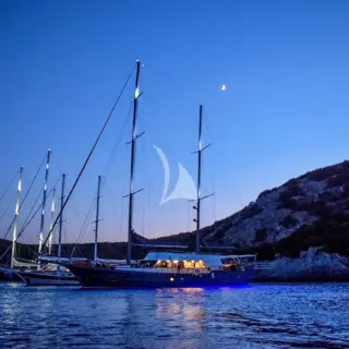 Virtuoso - Image 5