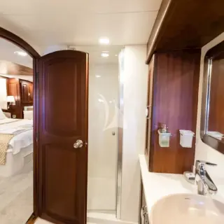 Virtuoso - Image 14