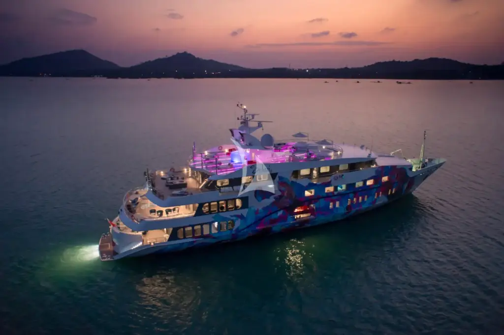 SALUZI - Profile by night