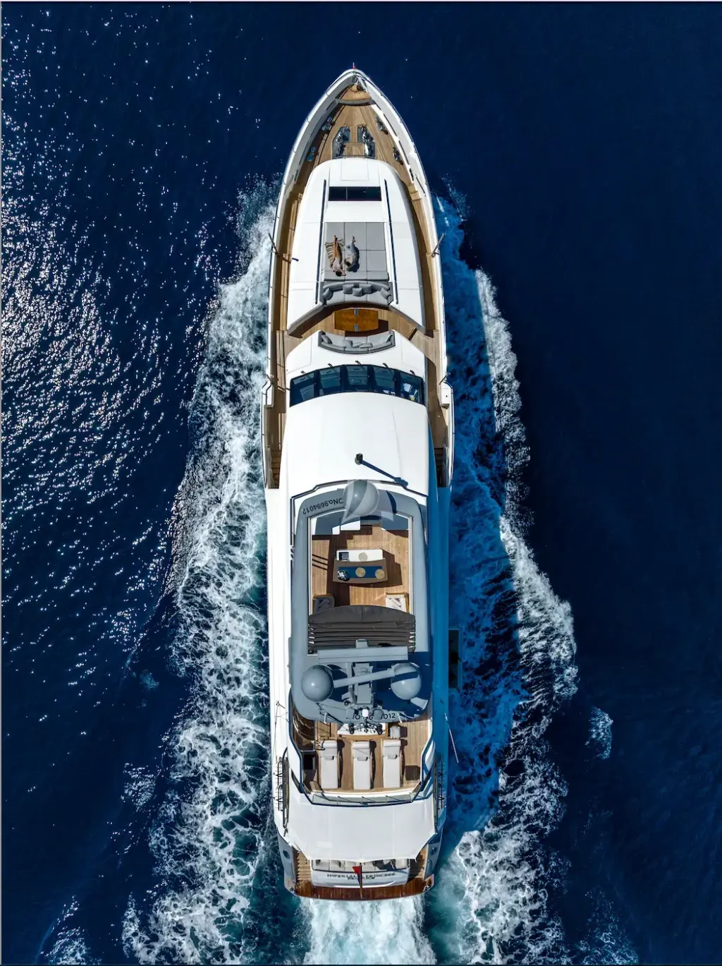 IMPERIAL PRINCESS BEATRICE - Image 3