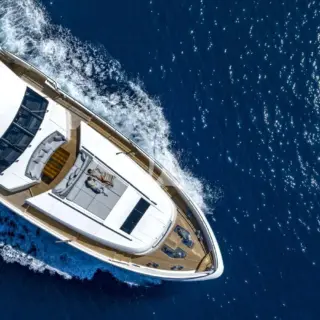 IMPERIAL PRINCESS BEATRICE - Image 2