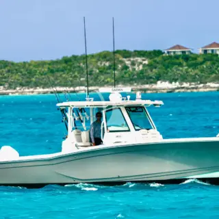 32 Caymus tender