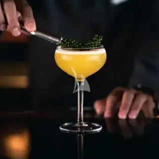 Cocktail experience