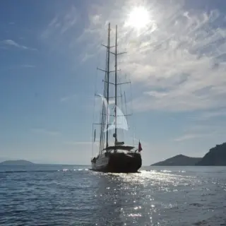 Carpe Diem V - Image 5