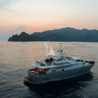 PAOLUCCI - Image 2