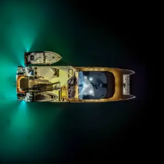 The Beast in Fiji