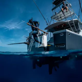 Spear Fishing from The Baby Beast