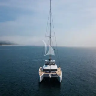 JOY - Image 7