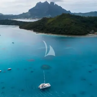 JOY - Image 6