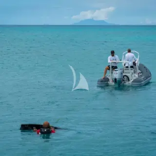 JOY - Image 24